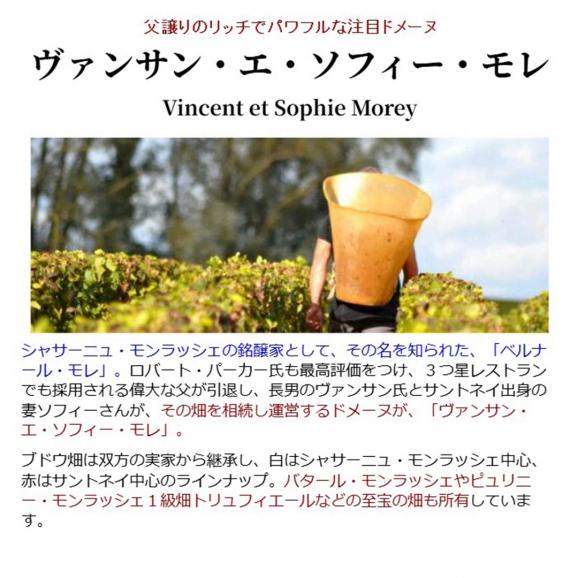 2024 シャサーニュ モンラッシェ プルミエ クリュ レ ボーディーヌ ブラン 750ml ヴァンサン エ ソフィー モレ フランス 白ワイン コク辛口 ^B0VMBD24^02