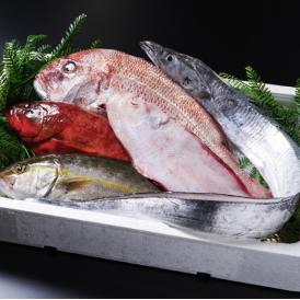 《高級魚》季節のおまかせ鮮魚セット（1～2種）≪三枚おろし無し≫（カネナカ水産）