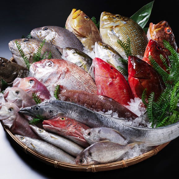 [高級魚]季節のおまかせ鮮魚セット(1〜2種)≪三枚おろし有り≫(カネナカ水産)