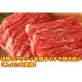 松阪牛人気2種セット（すき焼き・しゃぶしゃぶ各300g）