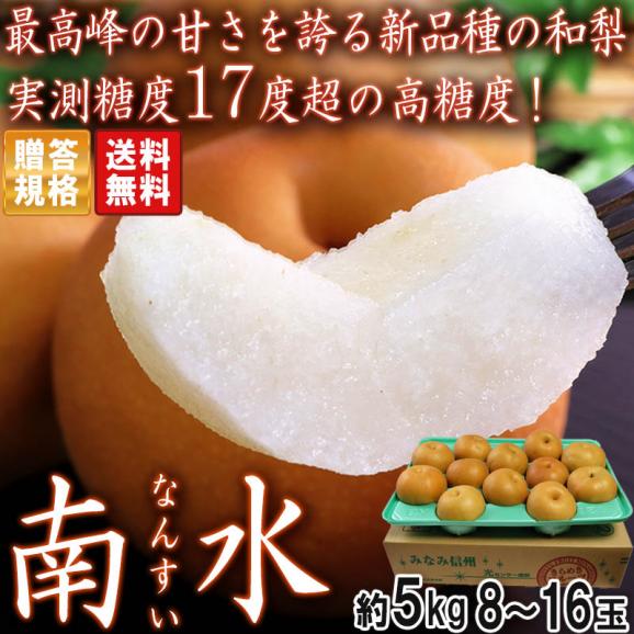 南水梨 なんすい 約5kg 10～16玉前後 長野県産 贈答規格 秀品～特秀品 光センサー選果で抜群の甘さ！実測糖度17度の確かな味わい02