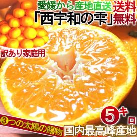 産地直送 西宇和の雫 温州みかん 約5kg ２S～２Lサイズ混合 愛媛県産 訳あり 個人農家産 本場で育てた家庭用蜜柑！こだわりのマルチシート栽培