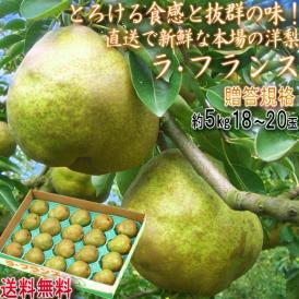 産地直送 ラフランス 西洋梨 約5kg 18～20玉 山形県産 秀品 贈答可能 洋ナシ出荷量日本一の山形直送！お歳暮に使える高品質な果物