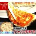 大ボリューム【匠 餃子】38g×20個=760g パーティー バーベキュー BBQ 業務用つまみ:おつまみ:夕食:昼食;お弁当:お弁当グッズ