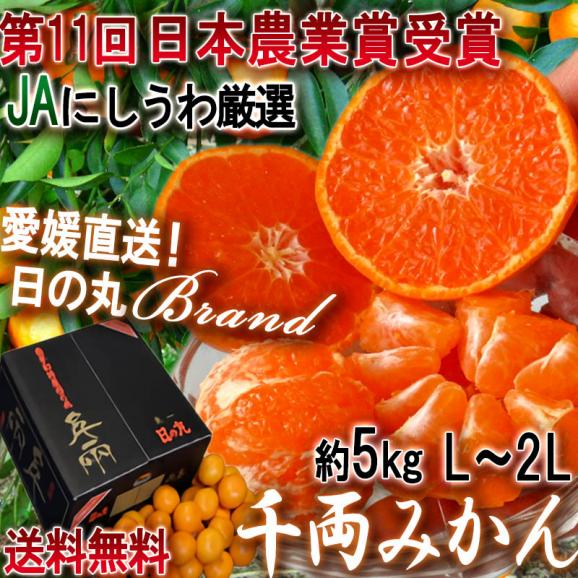 産地直送 日の丸千両みかん 約5kg L～2Lサイズ 愛媛県産 贈答規格 大玉限定 JAにしうわ 専用黒箱入りブランド蜜柑！高い評価を受ける県内屈指のギフトフルーツ02