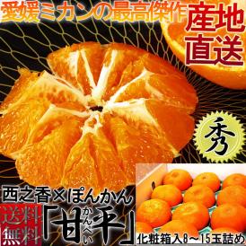 産地直送 甘平 かんぺい 約3kg 8～15玉 愛媛県産 秀品 加温栽培 化粧箱入り 高い糖度と抜群の鮮度！贈答最適なギフト規格