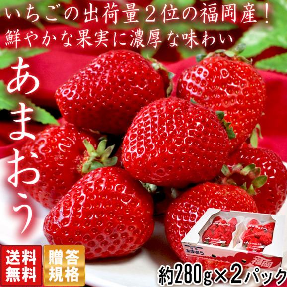 あまおう いちご 約280g×2パック 福岡県産 デラックス～グランデ規格 贈答品 高級苺の代名詞！濃厚な味と美しさのブランド品種02