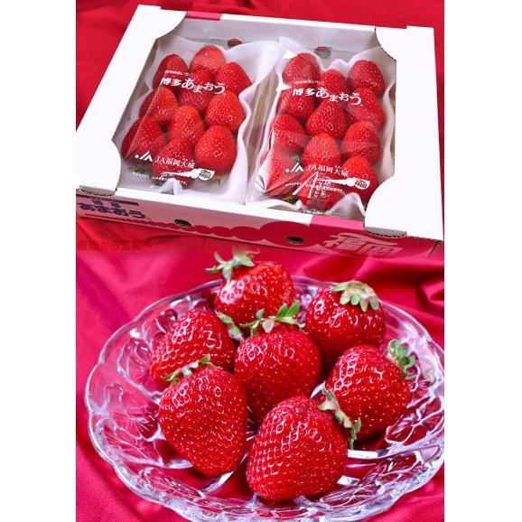 あまおう いちご 約280g×2パック 福岡県産 デラックス～グランデ規格 贈答品 高級苺の代名詞！濃厚な味と美しさのブランド品種06