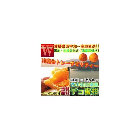 産地直送 デコ蜜柑 不知火 約10kg 大～中玉サイズ 愛媛県産 訳あり品 食べやすさと新鮮な甘酸っぱさ！デコポンと同品種のタンゴール、しらぬい