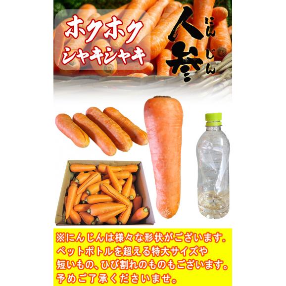 国産にんじん 日本全国より旬の人参をお届け！ 約10kg 産地厳選 お料理からジュースまで使える家庭用ニンジン！04