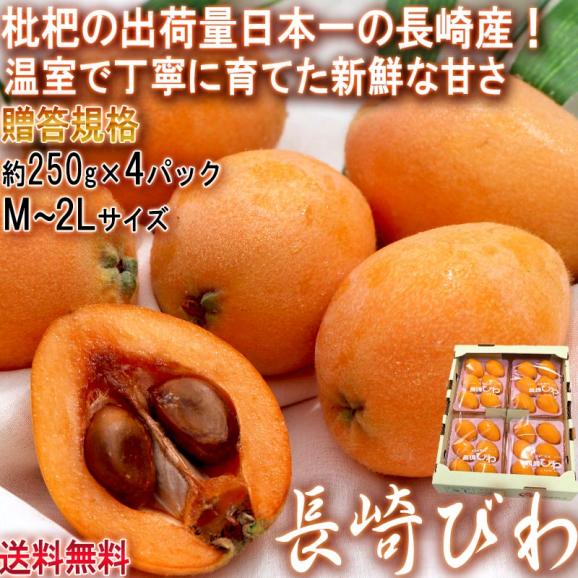 長崎びわ 温室栽培 約250g×4パック 贈答規格 茂木ビワ中心 枇杷の出荷量日本一の長崎県産！美しい果粒に豊富な栄養と優しい甘さ02