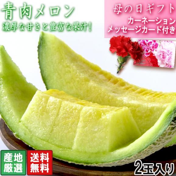 遅れてごめんね 母の日ギフト 青肉メロン 2玉入り 優～秀品規格 産地厳選 アンデスメロン中心 メッセージカード・カーネーション同梱02