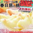 春日居の桃 贈答規格 約5kg 12～20玉 山梨県産 特秀品～秀品 モモの本場で育てた抜群の味 旬のももを厳選 浅間白桃・川中島白桃・日河白鳳など