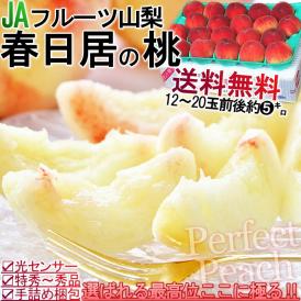 春日居の桃 贈答規格 約5kg 12～20玉 山梨県産 特秀品～秀品 モモの本場で育てた抜群の味 旬のももを厳選 浅間白桃・川中島白桃・日河白鳳など