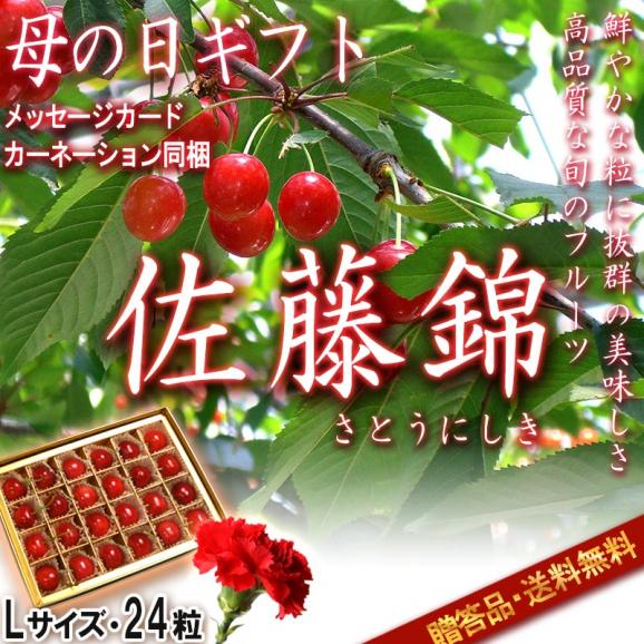 2026 母の日ギフト 産地直送 さくらんぼ 佐藤錦 Lサイズ 24粒入り 山形県産 贈答規格 温室栽培 化粧箱入り カーネーション・メッセージカード同梱02