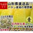 産地直送 庄内メロン 青肉限定 約5～6kg 3～6玉 山形県産 贈答規格 庄内砂丘で育てたこだわりの味！アンデスメロン中心