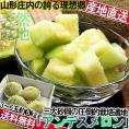 産地直送 庄内メロン 青肉限定 約5～6kg 3～6玉 山形県産 訳あり品 庄内砂丘で育てたこだわりの味！アンデスメロン中心