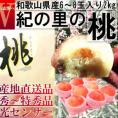産地直送 紀の里桃 約2kg 6～8玉 贈答規格 和歌山県産 特秀品～秀品 糖度センサーで厳選した抜群の味！ギフト最適な旬のフルーツ