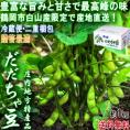 産地直送 だだちゃ豆 えだまめ 約1kg 山形県産 贈答規格 2重梱包・冷蔵便配送 秀品規格 鶴岡市白山で育てた最高峰の美味しさ！濃厚な味わいの高級枝豆