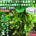 産地直送 だだちゃ豆 えだまめ 約1kg 山形県産 訳あり品 2重梱包・冷蔵便配送 家庭用 鶴岡市白山で育てた最高峰の美味しさ！お求めやすい価格の高級枝豆