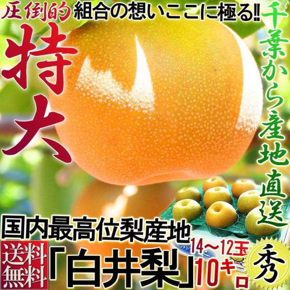 白井梨 幸水・豊水・秋月・新高 千葉県産 約10kg 14～28玉 秀品 大玉限定 贈答品 当店自慢の商品！ 鮮度抜群の梨を千葉からお届け！02