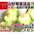産地直送 庄内メロン 青肉限定 2玉入り 山形県産 訳あり品 庄内砂丘で育てたこだわりの味！アンデスメロン中心