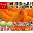 産地直送 庄内メロン 赤肉限定 2玉入り 山形県産 訳あり品 庄内砂丘で育てたこだわりの味！クインシーメロン中心