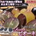 ピオーネ 山梨県・長野県・岡山県産 大粒限定 種無し葡萄 約1.5kg 2～3房入り 秀品 化粧箱入り 上品な香りと味わいの贈答用ぶどう！ ブドウ