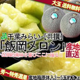 飯岡メロン 大玉限定 約5～6kg 3～5玉 秀品～特秀品 千葉県産 JA千葉みどり 千葉特産品の飯岡タカミメロン！ 優れた品質の高糖度フルーツをお届け！