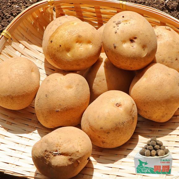 国産じゃがいも 小玉限定 約10kg 2S～Mサイズ 訳あり 日本全国より旬のジャガイモをお届け！ 産地厳選01