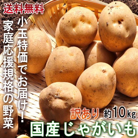 国産じゃがいも 小玉限定 約10kg 2S～Mサイズ 訳あり 日本全国より旬のジャガイモをお届け！ 産地厳選02