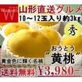 産地直送 黄金桃 約3kg 10～12玉 贈答規格 山形県産 黄色い果肉に豊かな甘さ！ギフト最適な抜群の鮮度と品質の黄桃