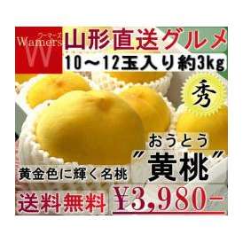 産地直送 黄金桃 約3kg 10～12玉 贈答規格 山形県産 黄色い果肉に豊かな甘さ！ギフト最適な抜群の鮮度と品質の黄桃