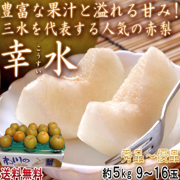 幸水 和梨 約5kg 9～16玉 千葉県産 贈答規格 大玉中心 秀品～優品 なしの出荷量全国一位の千葉県産！白井・市川・船橋を始めとした厳選産地の新鮮なナシ02