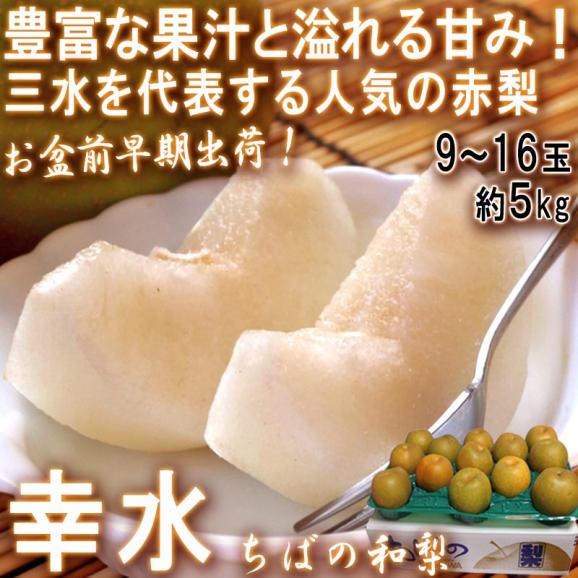 【お盆前出荷！】幸水 和梨 約5kg 9～16玉 千葉県産 贈答規格 大玉中心 秀品～優品 なしの出荷量全国一位の千葉県産！白井・市川・船橋を始めとした厳選産地の新鮮なナシ02