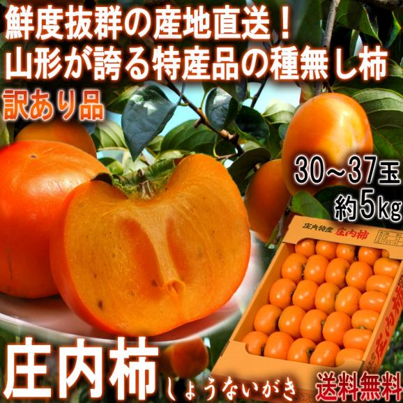 産地直送 庄内柿 約5kg 30～37玉 山形県産 訳あり品 種無し・渋抜き済み 山形が誇る特産品！抜群の鮮度とまろやかな甘さ02