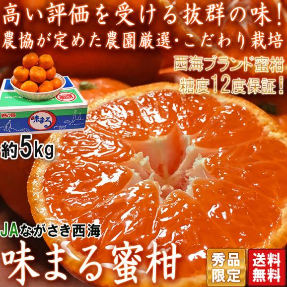 味まる蜜柑 約5kg 長崎県産 贈答規格 秀品限定 JAながさき西海 光センサー選果で糖度12度保障！長崎県が誇るブランド果物、西海みかん02