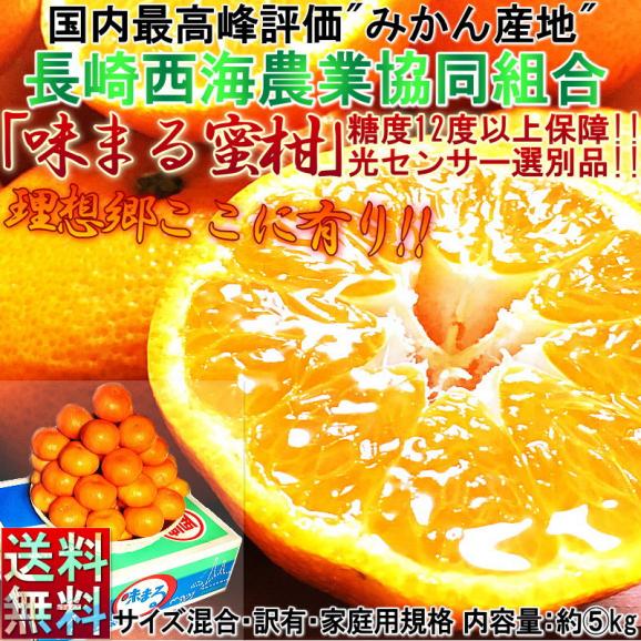 味まる蜜柑 約5kg 長崎県産 訳あり品 JAながさき西海 光センサー選果で糖度12度保障!当店人気のブランドみかんをお得な価格でご配送02