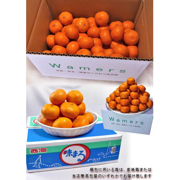 味まる蜜柑 約5kg 長崎県産 訳あり品 JAながさき西海 光センサー選果で糖度12度保障!当店人気のブランドみかんをお得な価格でご配送03