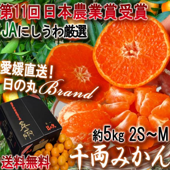 産地直送 日の丸千両みかん 約5kg 2S～Mサイズ 愛媛県産 贈答規格 小玉限定 JAにしうわ 専用黒箱入りブランド蜜柑！高い評価を受ける県内屈指のギフトフルーツ02