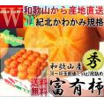 産地直送 富有柿 約7.5kg 38～46玉前後 和歌山県産 贈答規格 JA紀北かわかみ共撰 柔らかな食感と濃厚な甘さ！国内有数の柿産地から直送でお届け