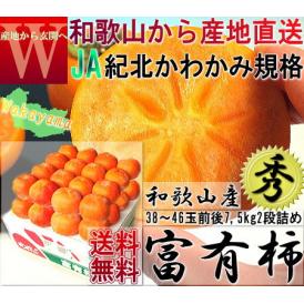 産地直送 富有柿 約7.5kg 38～46玉前後 和歌山県産 贈答規格 JA紀北かわかみ共撰 柔らかな食感と濃厚な甘さ！国内有数の柿産地から直送でお届け