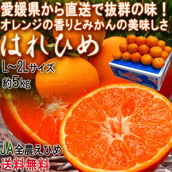 産地直送 はれひめ 約5kg L～2Lサイズ 愛媛県産 オレンジの香りに蜜柑の味わい！愛媛直送の新鮮なタンゴール02
