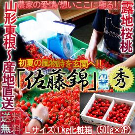 送料無料 日本一のサクランボ産地、山形で育った抜群の美味しさ