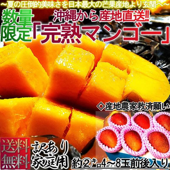 【お盆明け出荷】マンゴー 沖縄 2Kg 産地直送 訳有り 家庭用 完熟マンゴー わけあり 訳あり お特用02