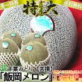 飯岡メロン 超大玉 約10kg 3~4玉 秀品~特秀品 千葉県産 JA千葉みどり 千葉特産品の飯岡タカミメロン! 優れた品質の高糖度フルーツをお届け!