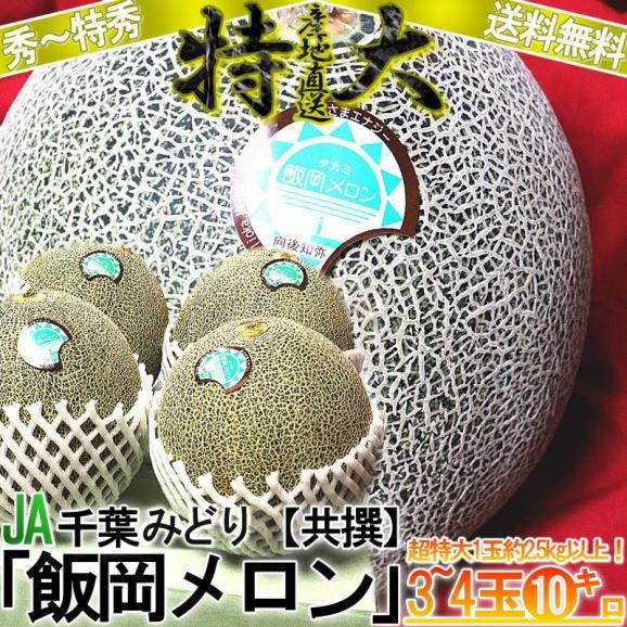 飯岡メロン 超大玉 約10kg 3~4玉 秀品~特秀品 千葉県産 JA千葉みどり 千葉特産品の飯岡タカミメロン! 優れた品質の高糖度フルーツをお届け!01