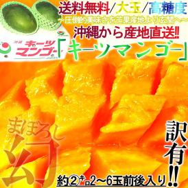 産地直送 キーツマンゴー 約2kg 2～6玉 訳あり品 サイズ混合・大玉中心 沖縄県産 特大の果実に濃厚な甘さ！家庭用のお得なフルーツ