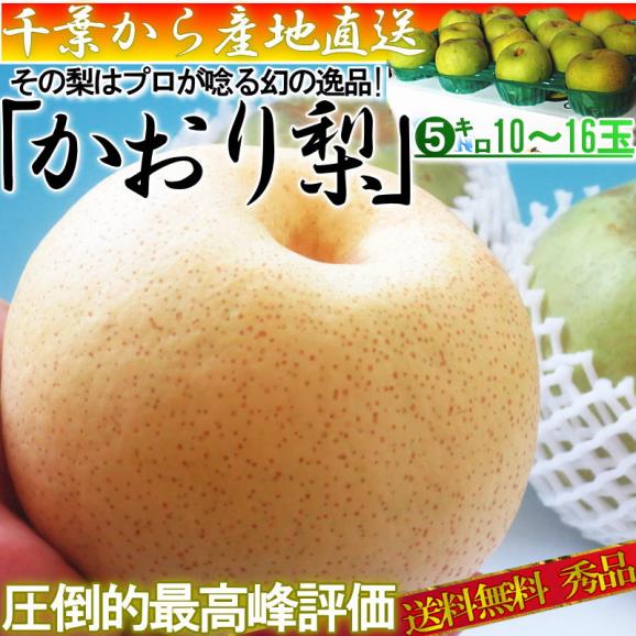 かおり梨 約5kg 10～16玉 中玉サイズ 秀品～優品 千葉県産 贈答可能 生産量の少ない幻の梨！爽やかな甘い香りと優秀な味わい02