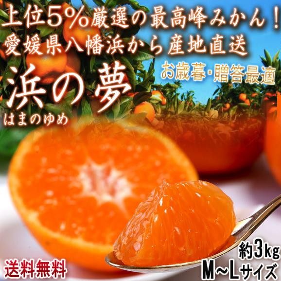 産地直送 浜の夢 温州みかん 約3kg M～Lサイズ 特秀品 愛媛県産 贈答品 愛媛の大産地、八幡浜から直送！最高ランクの厳選ギフト蜜柑02